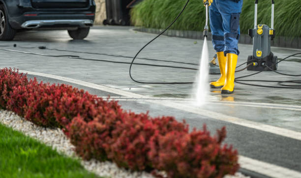 Almont, MI Pressure Washing Services Company